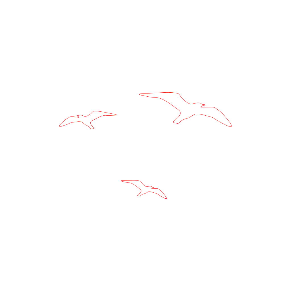 birds 01