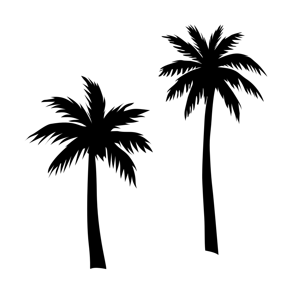 palm trees 02